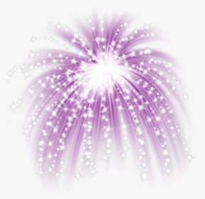 Transparent Party Lights Clipart - Purple Fireworks With White Background, HD Png Download, Transparent PNG