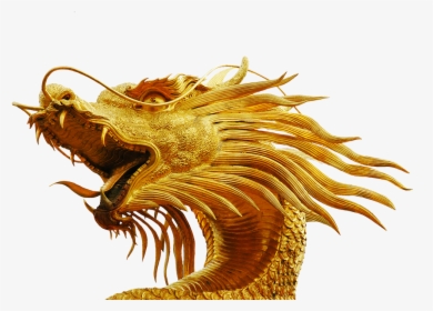 Gold Dragon Head - Dragon Head No Background, HD Png Download, Transparent PNG