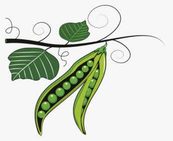 Peas Clipart Cute - Green Peas Clip Art, HD Png Download, Transparent PNG