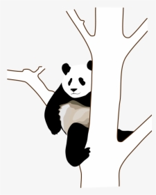 Panda Clip Art, HD Png Download, Transparent PNG