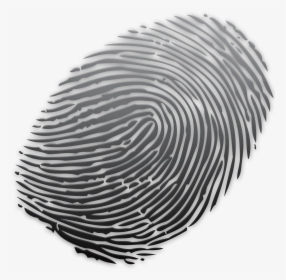 Fingerprint Powder Coating Glass Spiral - Grey Powder Coating Fingerprints, HD Png Download, Transparent PNG