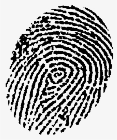 Automated Fingerprint Identification Device Fingerprint, HD Png Download, Transparent PNG