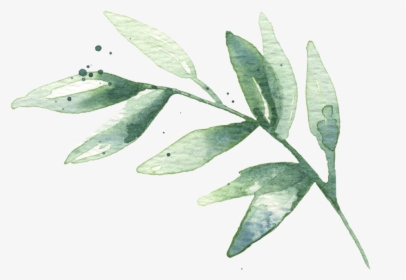 Hd Watercolor Leaves Free - Watercolor Green Leaves Png, Transparent Png, Transparent PNG