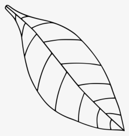 Computer Icons Drawing Black And White Leaf Coloring - Apple Leaf Clipart Black And White, HD Png Download, Transparent PNG