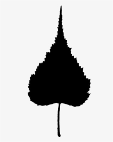 Line Drawn Leaf Png Background - Illustration, Transparent Png, Transparent PNG