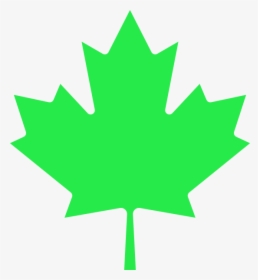 Libertarian Maple Leaf - Transparent Canadian Maple Leaf Vector, HD Png Download, Transparent PNG