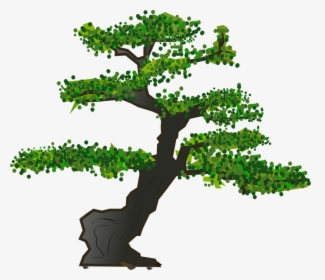 Bonsai, Tree, Leaves, Plant, Nature, Green, Foliage - Bonsai Tree Vector Free, HD Png Download, Transparent PNG