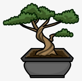 Transparent Bonsai Tree Png - Cartoon Bonsai Tree Png, Png Download, Transparent PNG