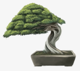 Png Black And White Download Bonsai Tree By Minums - Bonsai Tree Hd Png, Transparent Png, Transparent PNG