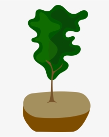 Bonsai, HD Png Download, Transparent PNG