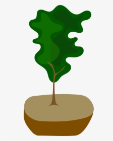 Bonsai, HD Png Download, Transparent PNG