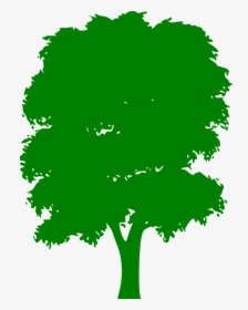 Tree, Green, Plain, Nature, Wood, Outside, Silhouette - Silhouette Tree Png Vector, Transparent Png, Transparent PNG