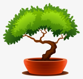 Bonsai Clipart Transparent - Bonsai Clipart, HD Png Download, Transparent PNG