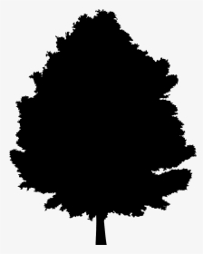 Grey Icon Trees, HD Png Download, Transparent PNG