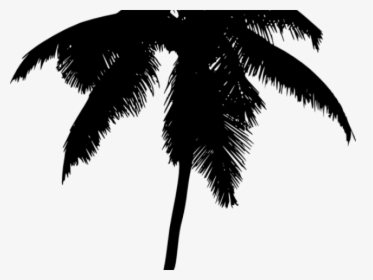 Palm Tree Silhouette Png - Palm Trees, Transparent Png, Transparent PNG