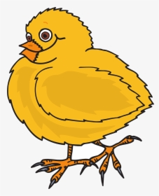 Baby, Bird, Chicken, Chicks, Yellow, Feathers, Wings - Free Dot To Dot Chicken Printables, HD Png Download, Transparent PNG