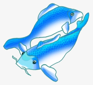 Colorful Koi Fish Drawings Picture Transparent Library - Swimming Blue Fish Gif, HD Png Download, Transparent PNG