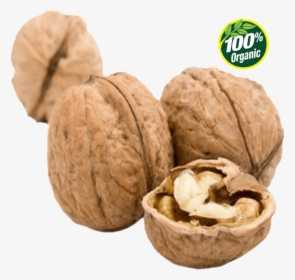English Walnut Png Image Background - Expensive Nuts, Transparent Png, Transparent PNG
