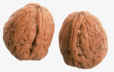 A Wrinkly Pair Of Nuts - Walnut, HD Png Download, Transparent PNG