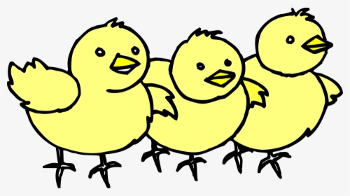 Chick Clipart Lpsk - Chicks Clipart, HD Png Download, Transparent PNG
