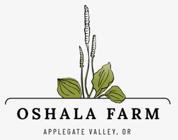 Oshala Logo Color - Herb Farm Logo, HD Png Download, Transparent PNG