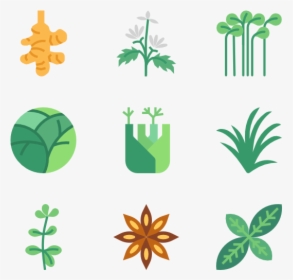 Essential Set - Herb Icon, HD Png Download, Transparent PNG