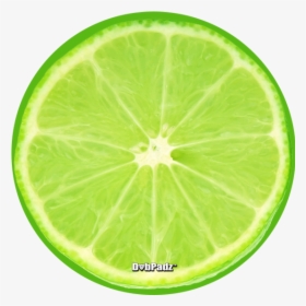 Lime Slice Dabpadz - Lime Slice, HD Png Download, Transparent PNG