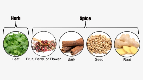 Herbs Vs Spices, HD Png Download, Transparent PNG