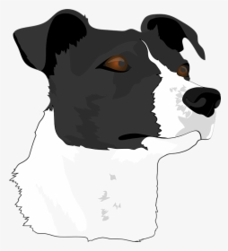 Dog Head, Dog, Terrier, Animal Portrait, Pet, Animal - Brazilian Terrier, HD Png Download, Transparent PNG
