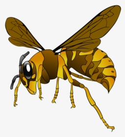 Hornet, Wasp, Insect, Bee, Brown, Yellow, Wings - Green Hornet Clipart, HD Png Download, Transparent PNG