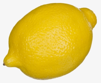 Meyer Lemon,persian Lime,lemon - Clip Art Lemon, HD Png Download, Transparent PNG