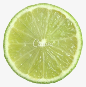 Clip Art Sliced Lime - Key Lime, HD Png Download, Transparent PNG