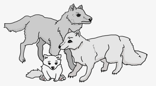 Wolves, Wolf Pack, Wolf, Cub, Family, Beast, Animals - Pack Of Wolves Cartoon, HD Png Download, Transparent PNG