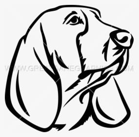 Basset Hound Clipart Head - Basset Hound Drawing Easy, HD Png Download, Transparent PNG