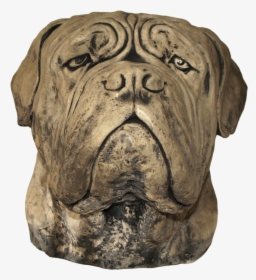 Large Dog Head , Png Download - Bullmastiff, Transparent Png, Transparent PNG