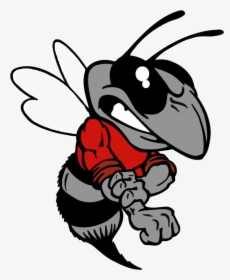 Transparent Hornet Mascot Clipart - Hancock County High School Hornets, HD Png Download, Transparent PNG
