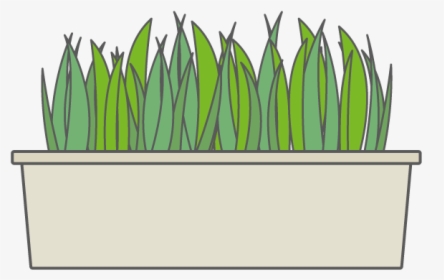Flowerbed Clipart, HD Png Download, Transparent PNG