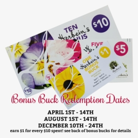 Bonus Bucks Redemption Dates Herbeins Garden Center - Viola, HD Png Download, Transparent PNG