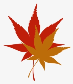 Transparent Japanese Maple Png - Japanese Maple Leaf Clipart, Png Download, Transparent PNG