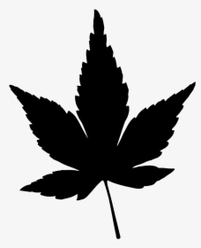 Japanese Maple Leaf Vector - Japanese Maple Leaf Silhouette, HD Png Download, Transparent PNG