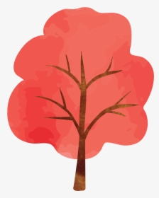 Red Maple Photography - Illustration, HD Png Download, Transparent PNG