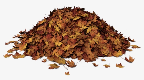 Autumn Leaves Pile Of Leaves Png, Transparent Png, Transparent PNG