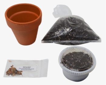 Bonsai Tree Garden Diy Grow Kit With Japanese Maple - Flowerpot, HD Png Download, Transparent PNG