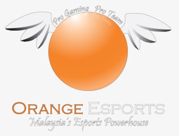 Team Logo Orange Esports - Team Orange Dota Logo, HD Png Download, Transparent PNG
