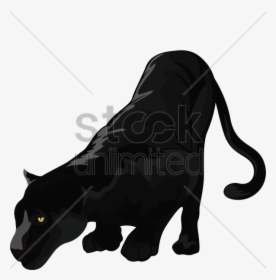 Black Panther Clipart Black Panther Black Cat - Illustration, HD Png Download, Transparent PNG