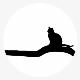 Silhouette,felidae,cat - Cat Yawns, HD Png Download, Transparent PNG