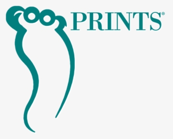 Footprints, Inc - Graphic Design, HD Png Download, Transparent PNG