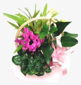 Basket Of Plants - Bouquet, HD Png Download, Transparent PNG