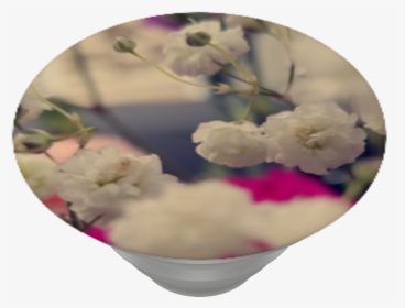 In A Field Of Flowers, - Cherry Blossom, HD Png Download, Transparent PNG