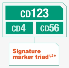 Signature Marker Triad Of Bpdcn, Including Cd123 - Starpet, HD Png Download, Transparent PNG